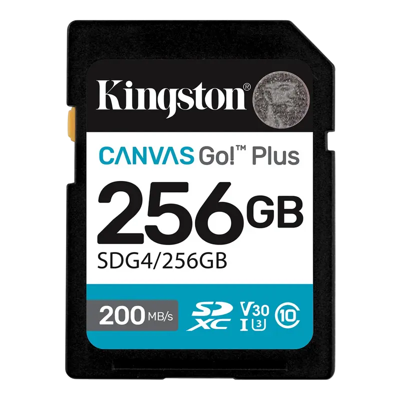 Карта памяти Kingston Canvas Go! Plus, 256Гб (SDG4/256GB)