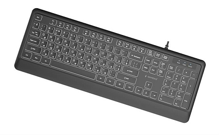 Тонкая Клавиатура Gembird KB-UML-04-CYRL/ USB A+C/ Black