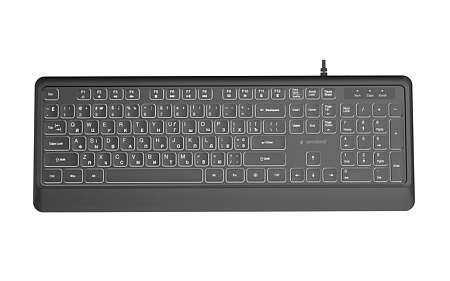 Клавиатура Gembird B-MCH-05-CYRL/ USB A+C/ Black