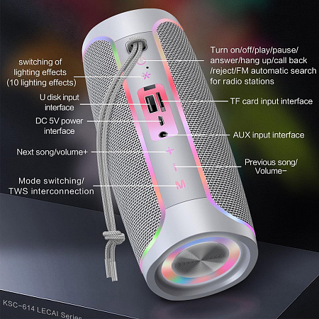 Ksiga Speakers Bluetooth Lecai KSC-614, Grey