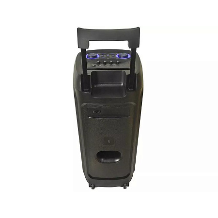 Eden Party Speaker ED-1015 with 2 Wireless Microphones 100W, H=73cm, Black