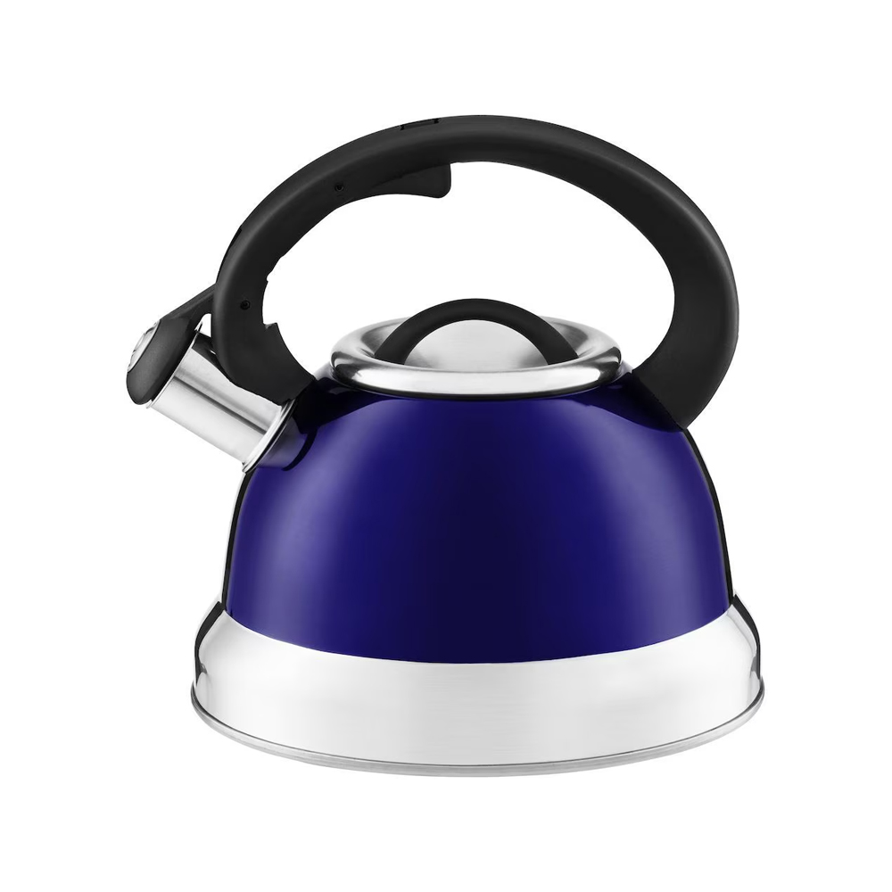 Ambition, Kettle, Rene, Black Handle, Color Body Mix, Stainless Steel, Plastic