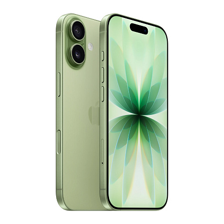Apple iPhone 17 256GB Sage