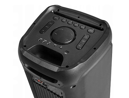 Blaupunkt Portable Audio Systems PB12DB, 2 wireless microphones included