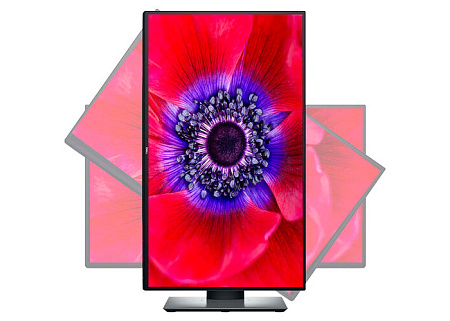 25" DELL UltraSharp U2520D, Black, IPS, 2560x1440, 75 Hz, 5ms, 350cd, HDR400,HDMI+DP+USB+TypeC,Pivot