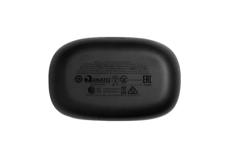  True Wireless JBL  Endurance Peak II Black