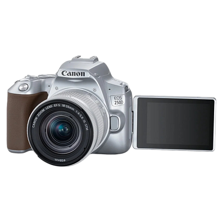DC Canon EOS 250D & EF-S 18-55mm f/3.5-5.6 IS STM KIT - Silver