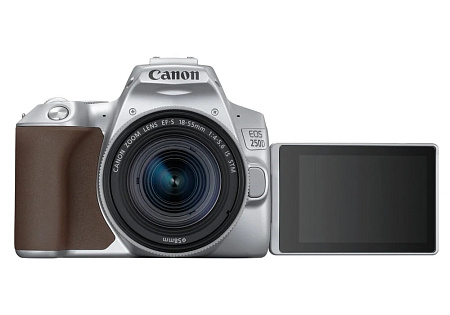DC Canon EOS 250D & EF-S 18-55mm f/3.5-5.6 IS STM KIT - Silver