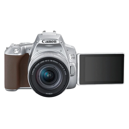 DC Canon EOS 250D & EF-S 18-55mm f/3.5-5.6 IS STM KIT - Silver