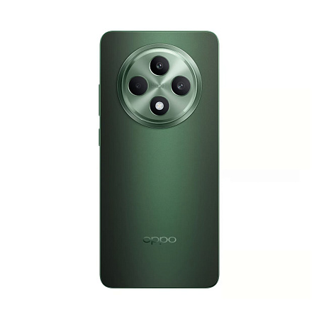 OPPO Reno 12 FS 5G 12/512GB Black Green