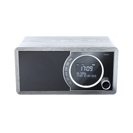 Портативное радио Sharp DR-450GRV02, Grey