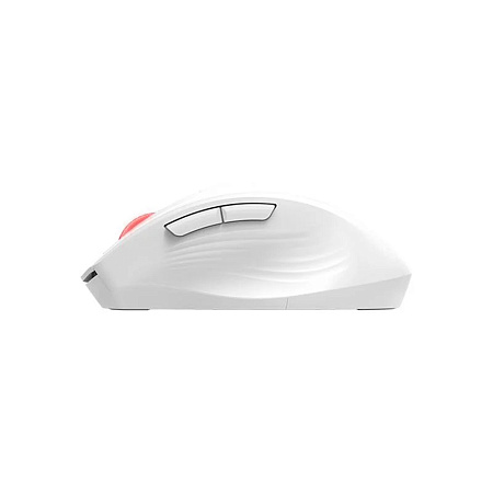 Xtrike Me Mouse GW-223 Wireless, White Xtrike Me Mouse GW-223 Wireless, White