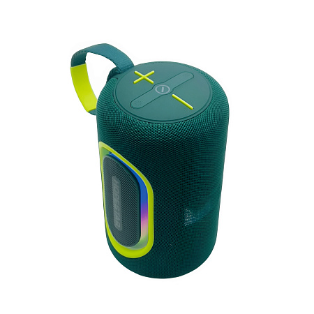 Hopestar Wireless Speaker P69, 20W, Green