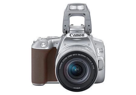 DC Canon EOS 250D & EF-S 18-55mm f/3.5-5.6 IS STM KIT - Silver