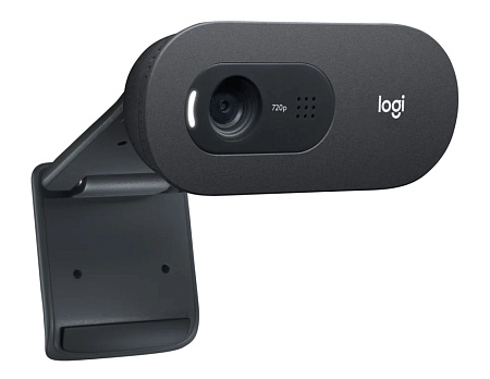 Camera Logitech C505e, 720p, FoV: 60°, 1.2/3 MP, Fixed focus, Mono, long-range microphone, 2m
