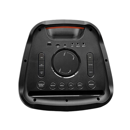 Blaupunkt Portable Audio Systems PB12DB, 2 wireless microphones included