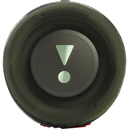 Portable Speakers JBL Charge 5, Squad (Camouflage green)