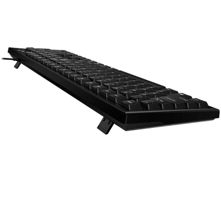 Keyboard Genius Smart KB-100XP, 12 Fn keys, Spill-Resistant, Curve key cap, Palm Rest, 1.5m, USB, EN