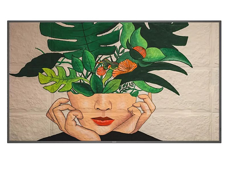 Дисплей PHILIPS 65BDL4550D, 64,5", Чёрный Дисплей PHILIPS 65BDL4550D, 64,5", Чёрный