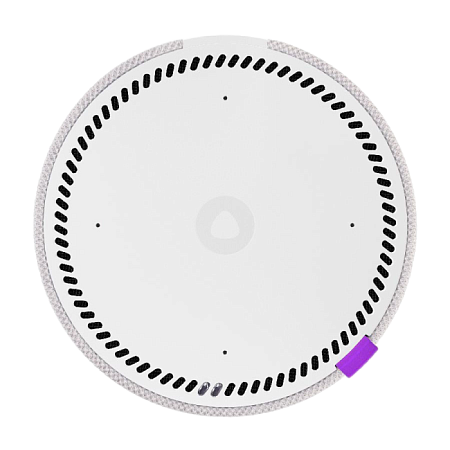 Yandex station mini YNDX-0004 Silver Frozen