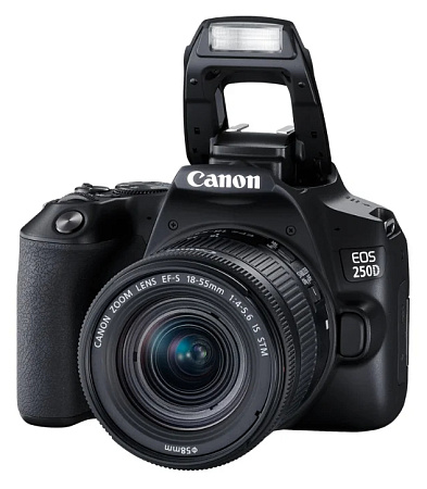 DC Canon EOS 250D & EF-S 18-55mm f/3.5-5.6 DC III KIT