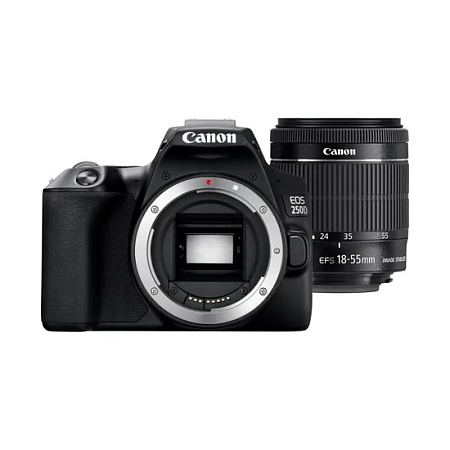 DC Canon EOS 250D & EF-S 18-55mm f/3.5-5.6 IS STM KIT - Black