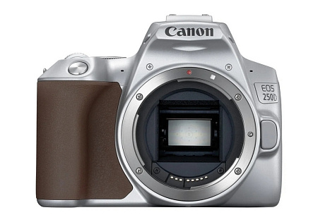 DC Canon EOS 250D & EF-S 18-55mm f/3.5-5.6 IS STM KIT - Silver