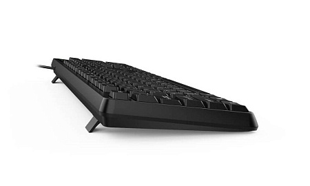 Keyboard Genius KB-117, Classic, 12 Fn keys, Concave Keycap, Spill Resistant, 1.5m, USB, EN/RU, Blac