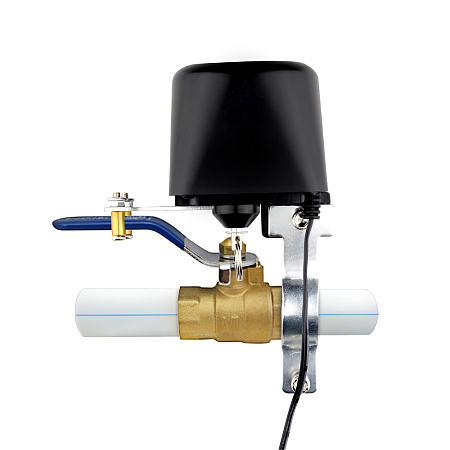 Moes Zigbee Smart Water and Gas Valve with Eu Power Adapter, black