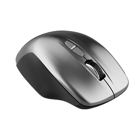 Wireless Mouse Canyon MW-21, Optical, 800-1600dpi, 7 buttons, Ergonomic, Blue LED, 1xAA, Gray