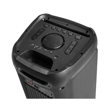 Blaupunkt Portable Audio Systems PB12DB, 2 wireless microphones included