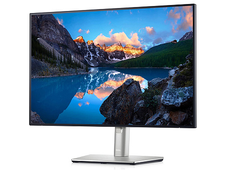 24.1" DELL UltraSharp U2421E, Black/Silver,IPS,1920x1200,60Hz,5ms,300cd,HDMI+DP+RJ45+USB+TypeC,Pivot