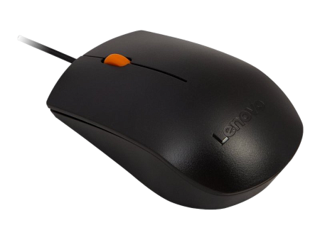 Lenovo 300 USB Combo Keyboard & Mouse, EN/RU, cable lenth 1,8m (GX30M39635)