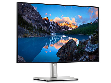 24.1" DELL UltraSharp U2421E, Black/Silver,IPS,1920x1200,60Hz,5ms,300cd,HDMI+DP+RJ45+USB+TypeC,Pivot