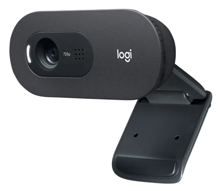Camera Logitech C505e, 720p, FoV: 60°, 1.2/3 MP, Fixed focus, Mono, long-range microphone, 2m