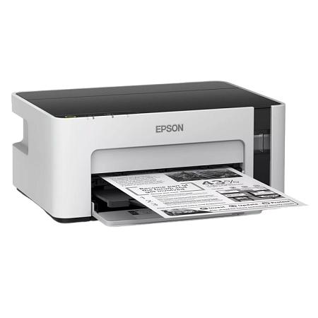 Printer Epson M1100