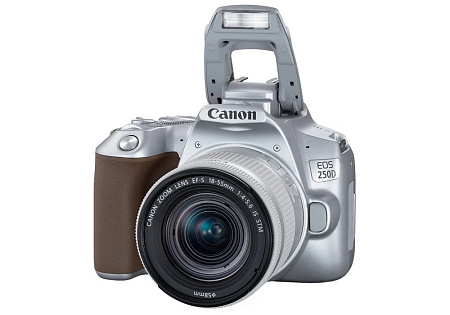 DC Canon EOS 250D & EF-S 18-55mm f/3.5-5.6 IS STM KIT - Silver