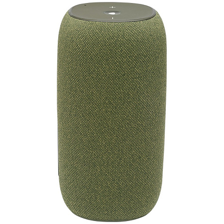 JBL Link Portable Yandex with Alisa, Green.