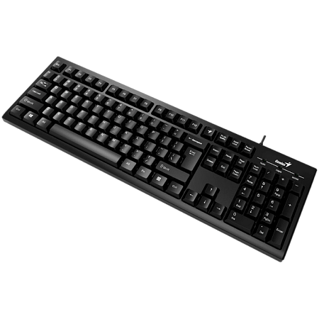 Keyboard Genius Smart KB-100XP, 12 Fn keys, Spill-Resistant, Curve key cap, Palm Rest, 1.5m, USB, EN