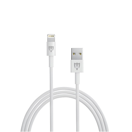 Helmet Car Charger with Lightning Cable 2xUSB 2.4A , Silver