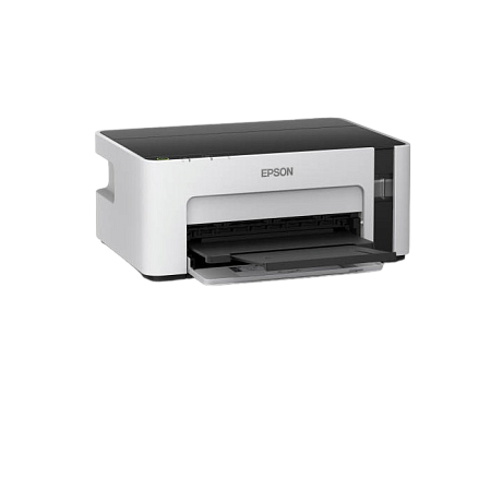 Printer Epson M1100