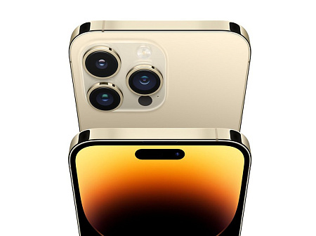 Смартфон Apple iPhone 14 Pro, 6Гб/256Гб, Gold