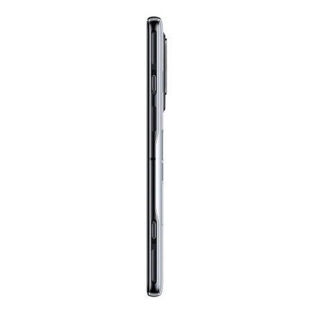 Xiaomi Black Shark 5 8/128 Gb, Explorer Gray
