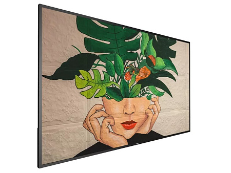 Дисплей PHILIPS 65BDL4550D, 64,5", Чёрный Дисплей PHILIPS 65BDL4550D, 64,5", Чёрный