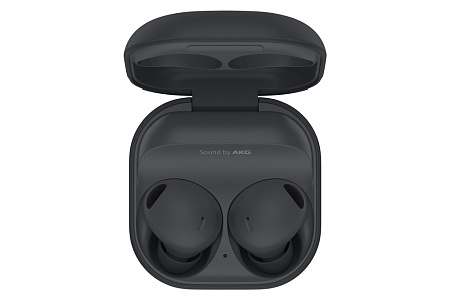Наушники Galaxy Buds 2 PRO  (USA), Серый