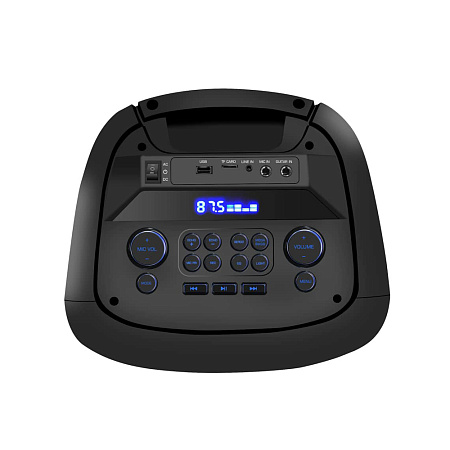 Eden Party Speaker ED-1006 100W with 2 Wireless Microphones, Mega Bass, H=82cm, Black
