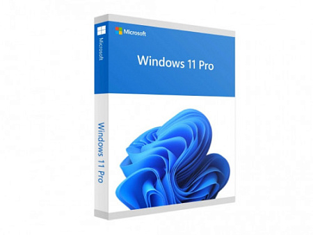 WIN PRO FPP 11 64BIT ENG INTL NON-E