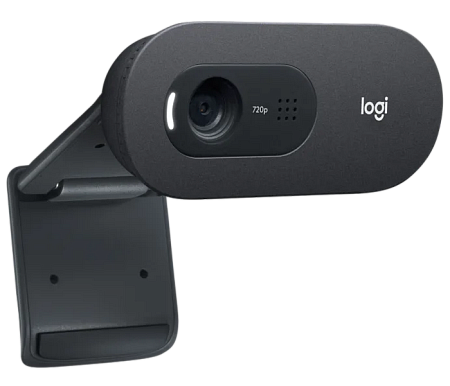 Camera Logitech C505e, 720p, FoV: 60°, 1.2/3 MP, Fixed focus, Mono, long-range microphone, 2m