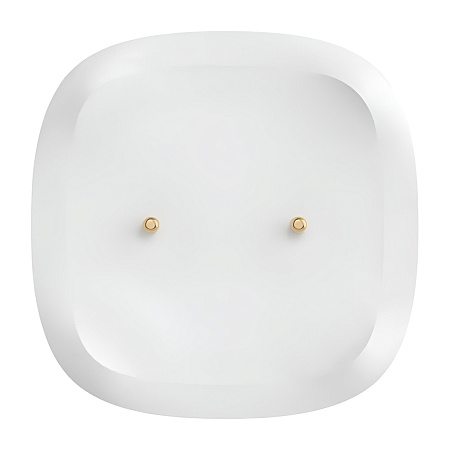 Sonoff Zigbee Water Leak Sensor SNZB-05P