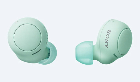 Bluetooth Earphones TWS  SONY  WF-C500G, Ice Green